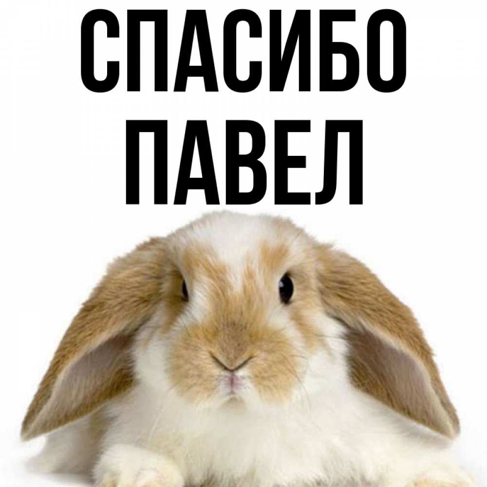 Картинки Павел В Субботу