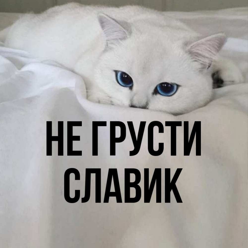 Доброе утро славик картинки