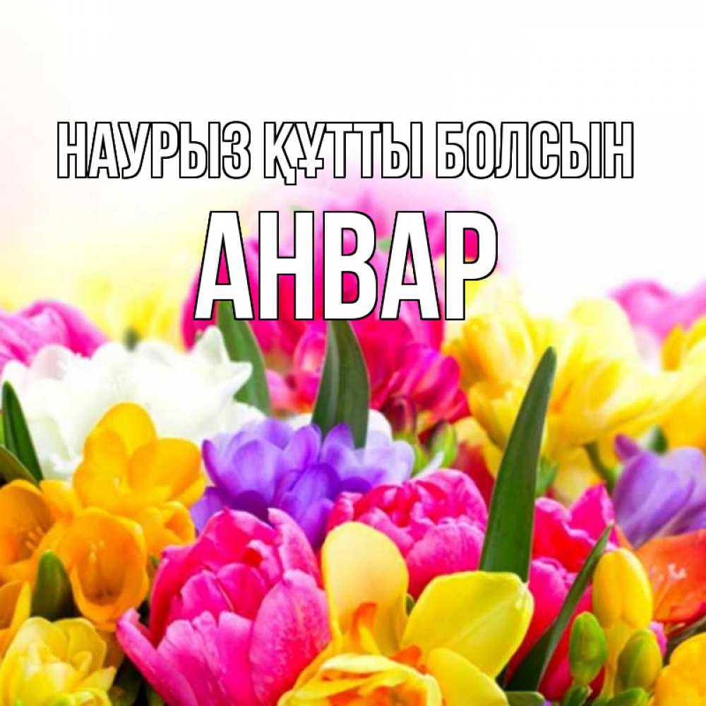 Открытка на каждый день с именем, Анвар Наурыз құтты болсын тюльпаны Прикольная открытка с пожеланием онлайн скачать бесплатно 