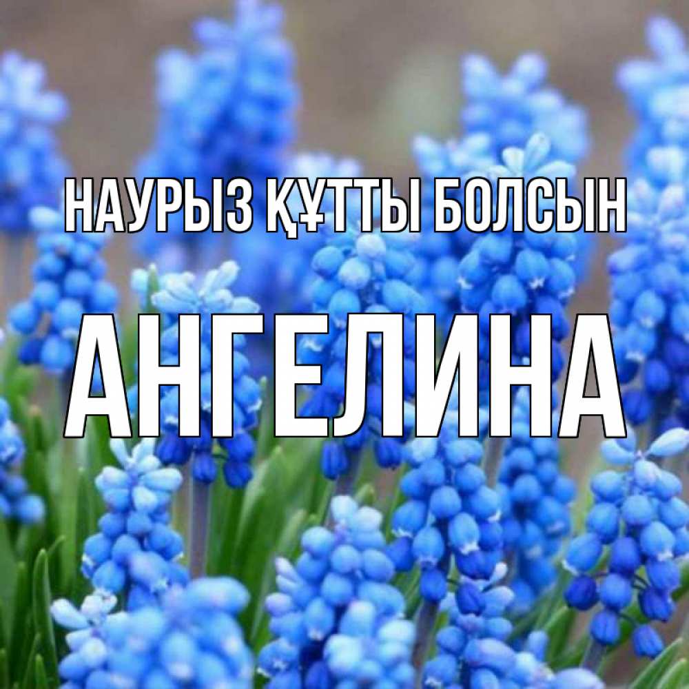Открытка на каждый день с именем, Ангелина Наурыз құтты болсын Поздравительная открытка для женщин с цветами на праздничную дату Прикольная открытка с пожеланием онлайн скачать бесплатно 
