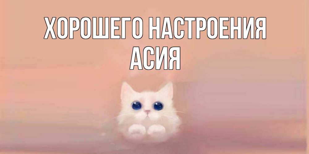 Открытка на каждый день с именем, Асия Хорошего настроения кошка Прикольная открытка с пожеланием онлайн скачать бесплатно 