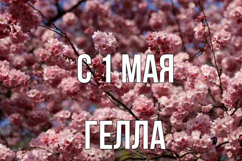 Открытка на каждый день с именем, Гелла С 1 мая С 1 мая Прикольная открытка с пожеланием онлайн скачать бесплатно 