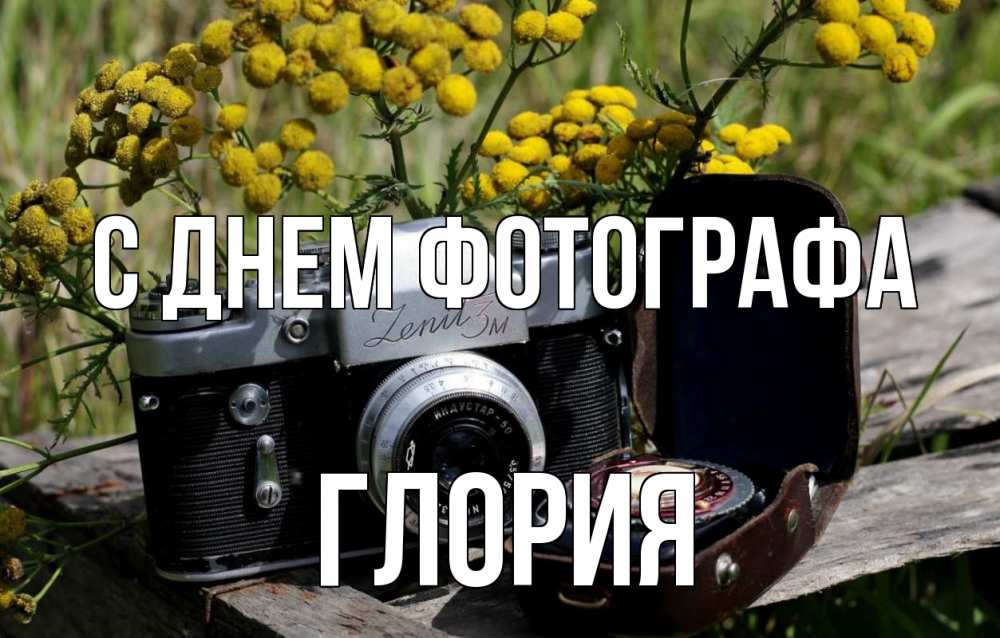 Открытка на каждый день с именем, Глория С днем фотографа с днем фотографа Прикольная открытка с пожеланием онлайн скачать бесплатно 