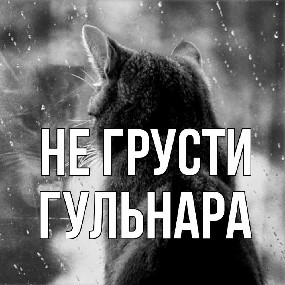 Открытка на каждый день с именем, Гульнара Не грусти отражение кота 1 Прикольная открытка с пожеланием онлайн скачать бесплатно 