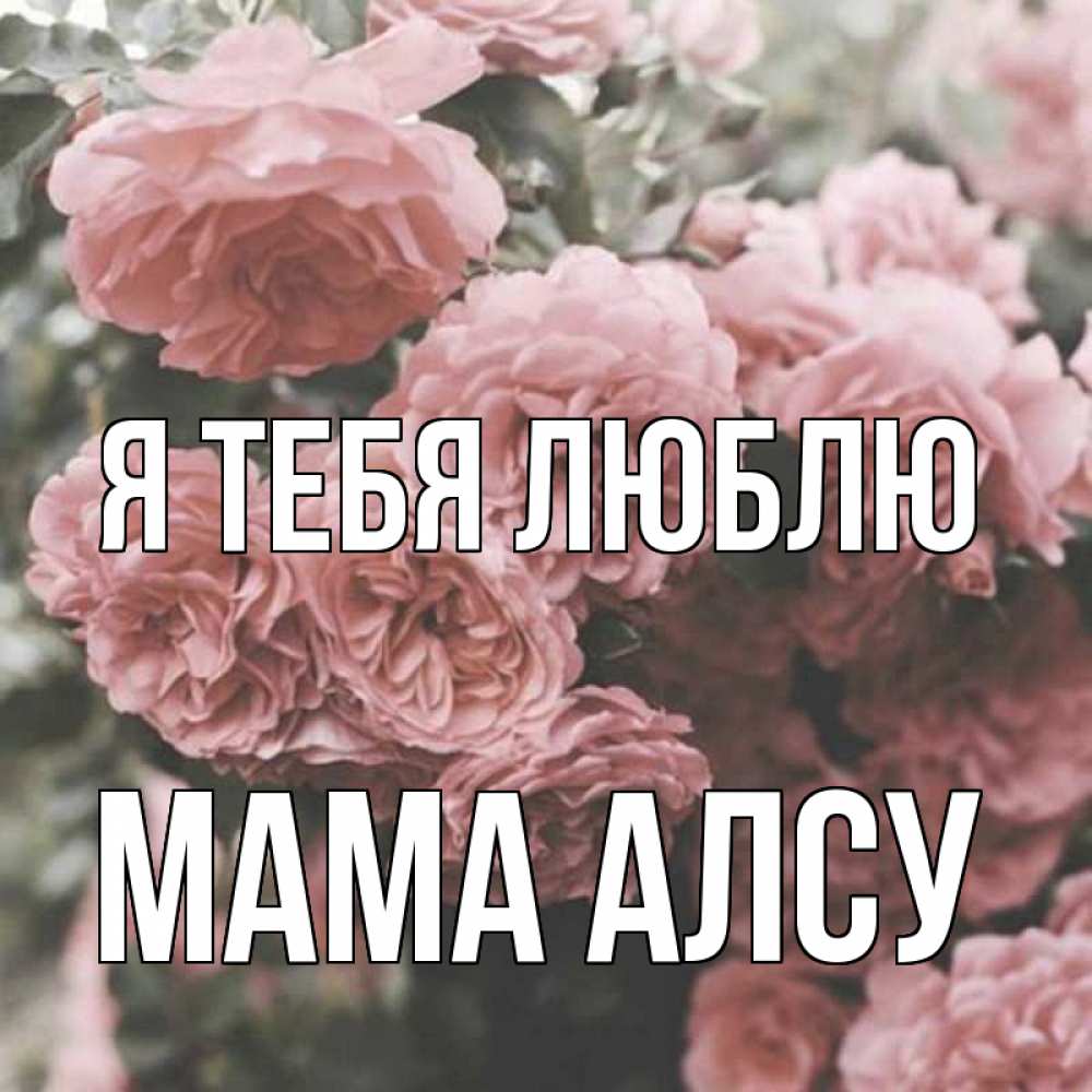 Открытка на каждый день с именем, Мама-Алсу Я тебя люблю розы 3 Прикольная открытка с пожеланием онлайн скачать бесплатно 