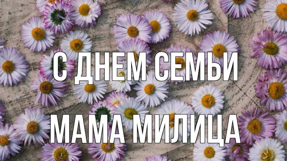 Открытка на каждый день с именем, Мама-Милица С днем семьи с днем семьи Прикольная открытка с пожеланием онлайн скачать бесплатно 