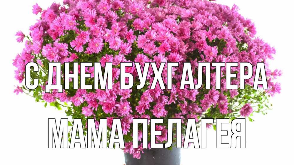 Открытка на каждый день с именем, Мама-Пелагея С днем бухгалтера с днем бухгалтера Прикольная открытка с пожеланием онлайн скачать бесплатно 