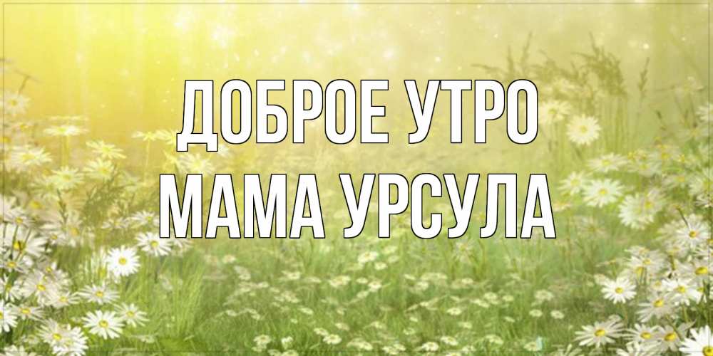 Открытка на каждый день с именем, Мама-Урсула Доброе утро доброе утро Прикольная открытка с пожеланием онлайн скачать бесплатно 