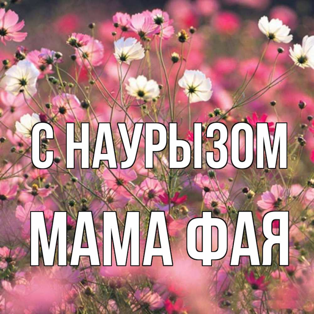 Открытка на каждый день с именем, Мама-Фая С наурызом красиво 1 Прикольная открытка с пожеланием онлайн скачать бесплатно 