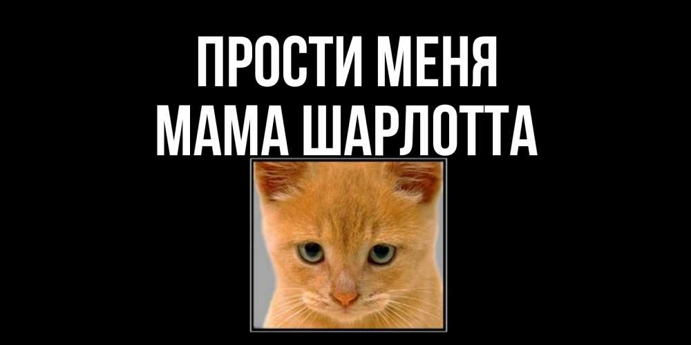 Открытка на каждый день с именем, Мама-Шарлотта Прости меня рыжий грустный кот просит прощения Прикольная открытка с пожеланием онлайн скачать бесплатно 