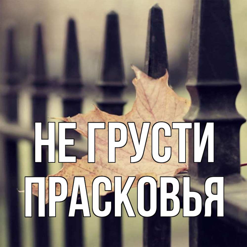 Открытка на каждый день с именем, Прасковья Не грусти лист клена Прикольная открытка с пожеланием онлайн скачать бесплатно 