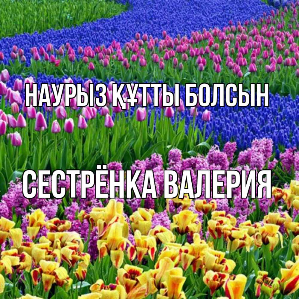 Открытка на каждый день с именем, Сестрёнка-Валерия Наурыз құтты болсын цветы Прикольная открытка с пожеланием онлайн скачать бесплатно 