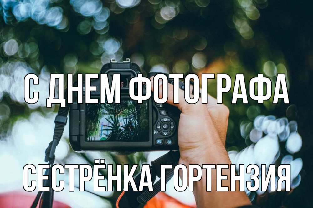 Открытка на каждый день с именем, Сестрёнка-Гортензия С днем фотографа с днем фотографа Прикольная открытка с пожеланием онлайн скачать бесплатно 
