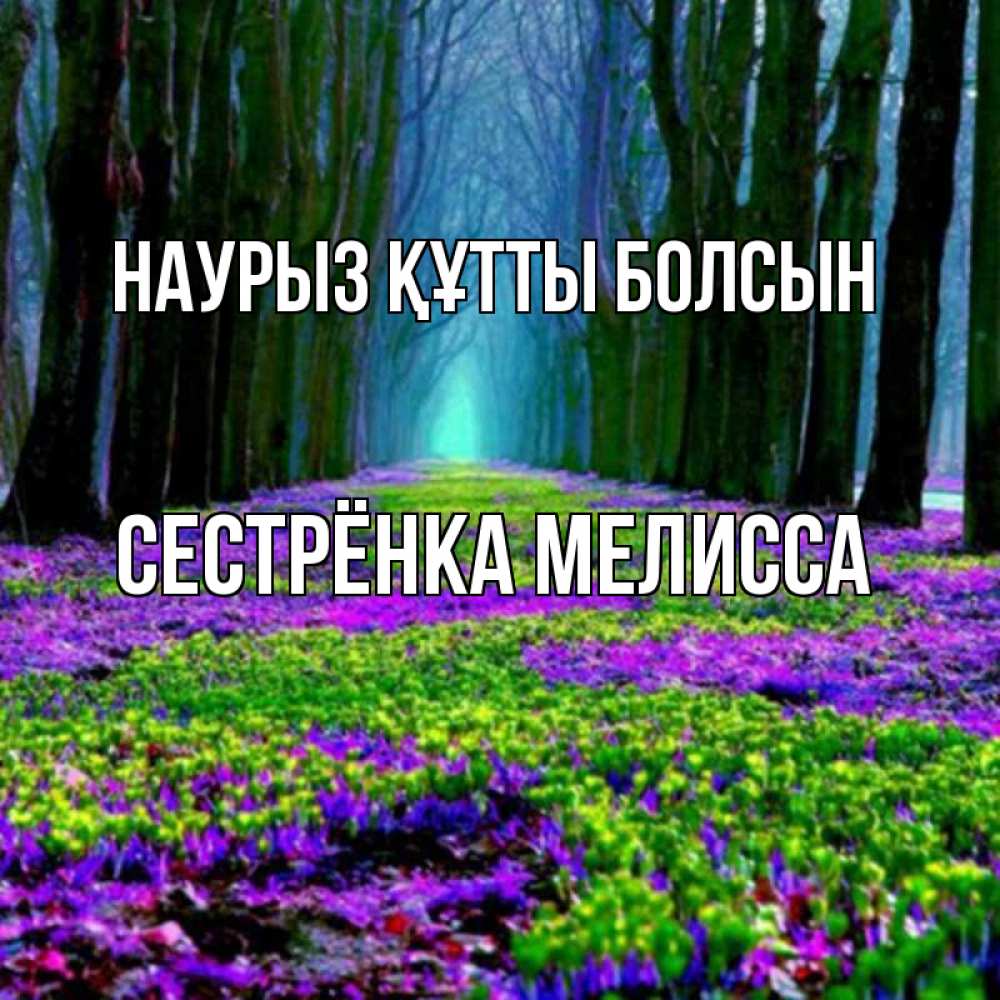Открытка на каждый день с именем, Сестрёнка-Мелисса Наурыз құтты болсын фиолетовые цветы в лесу 1 Прикольная открытка с пожеланием онлайн скачать бесплатно 