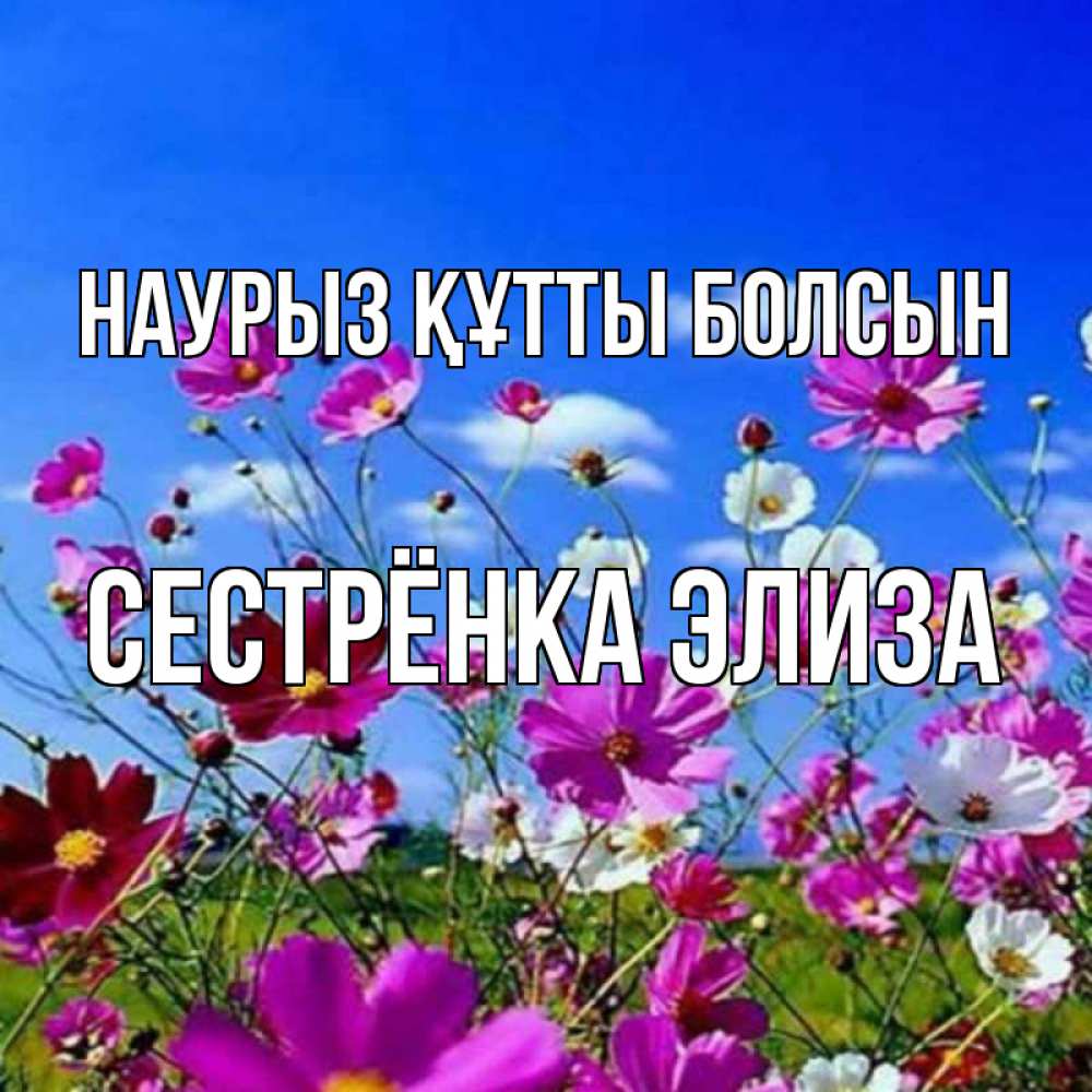 Открытка на каждый день с именем, Сестрёнка-Элиза Наурыз құтты болсын цветы Прикольная открытка с пожеланием онлайн скачать бесплатно 