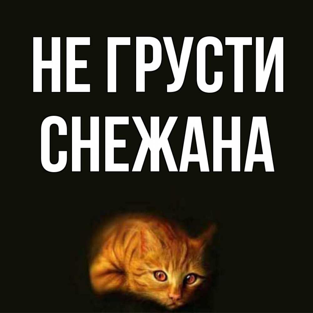 Открытка на каждый день с именем, Снежана Не грусти лежащий кот в темноте Прикольная открытка с пожеланием онлайн скачать бесплатно 