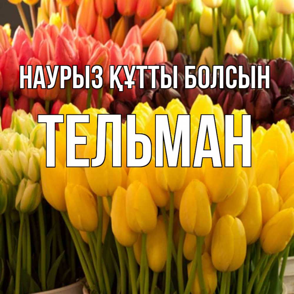 Открытка на каждый день с именем, Тельман Наурыз құтты болсын цветы Прикольная открытка с пожеланием онлайн скачать бесплатно 