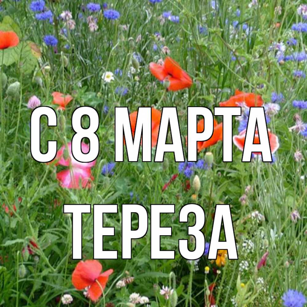 Открытка на каждый день с именем, Тереза С 8 МАРТА международный женский день 4 Прикольная открытка с пожеланием онлайн скачать бесплатно 