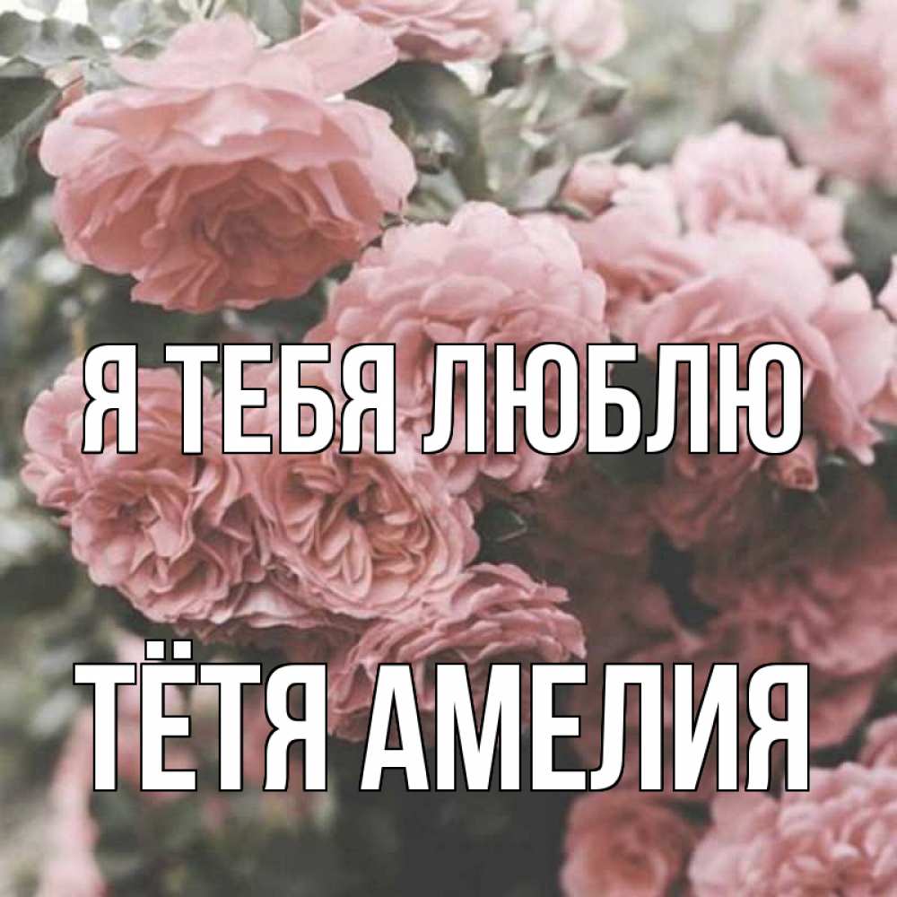 Открытка на каждый день с именем, Тётя-Амелия Я тебя люблю розы 3 Прикольная открытка с пожеланием онлайн скачать бесплатно 