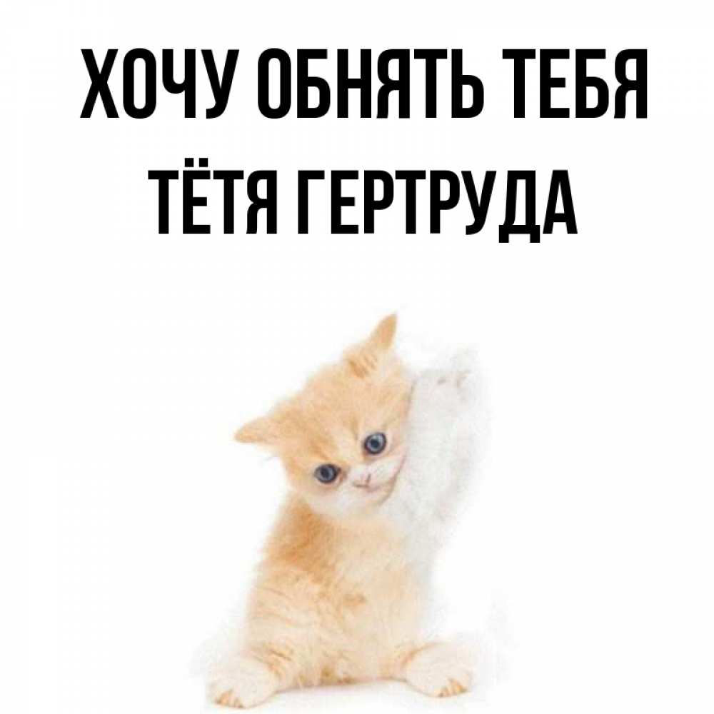 Открытка на каждый день с именем, Тётя-Гертруда Хочу обнять тебя я хочу очень скорее обнимаешек Прикольная открытка с пожеланием онлайн скачать бесплатно 