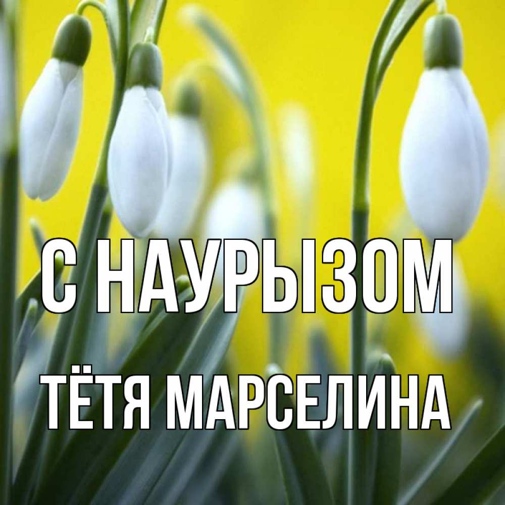 Открытка на каждый день с именем, Тётя-Марселина С наурызом весенние цветы Прикольная открытка с пожеланием онлайн скачать бесплатно 