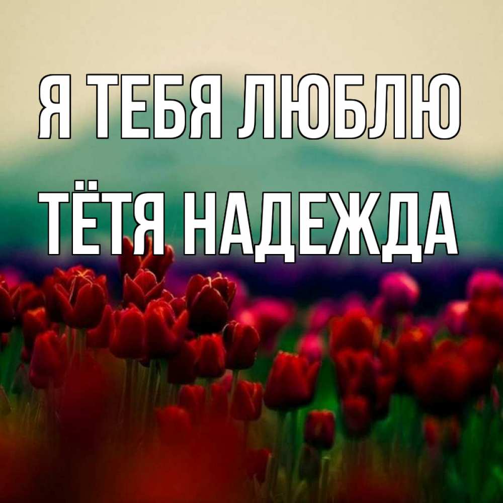 Открытка на каждый день с именем, Тётя-Надежда Я тебя люблю тюльпаны 4 Прикольная открытка с пожеланием онлайн скачать бесплатно 