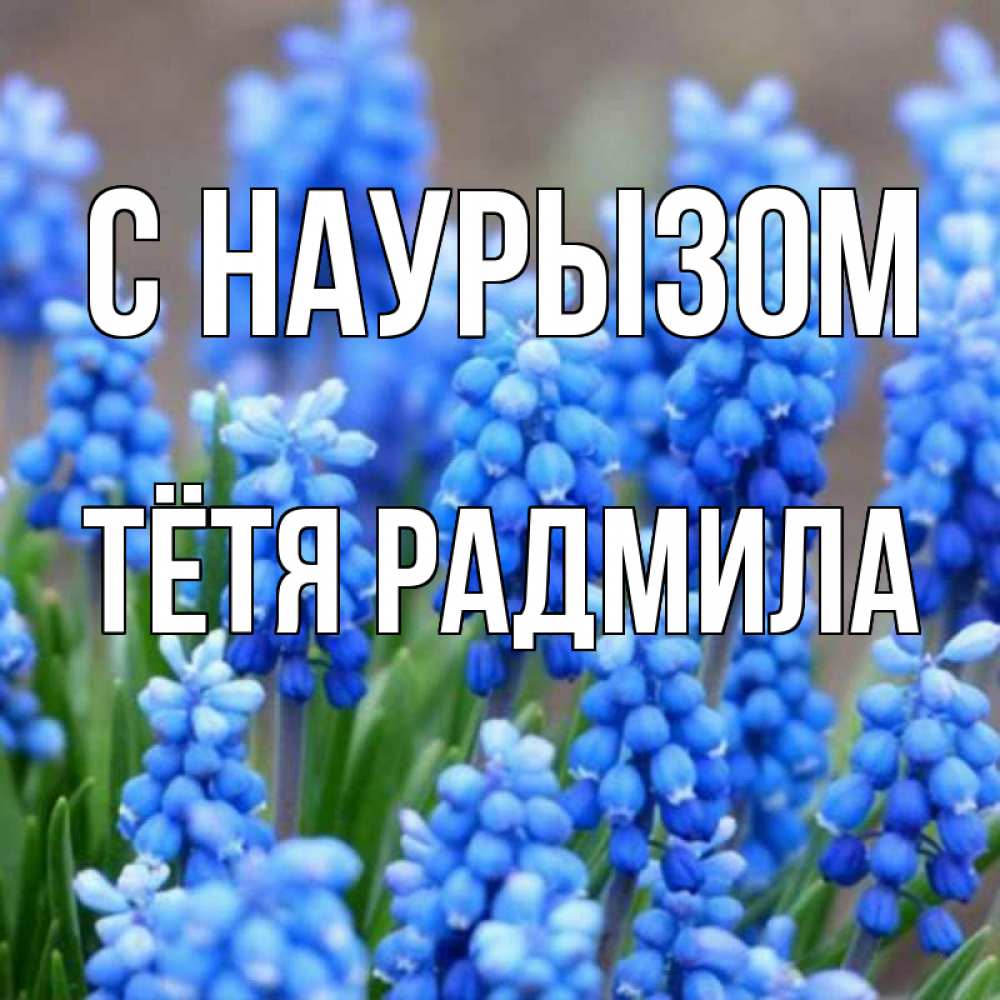Открытка на каждый день с именем, Тётя-Радмила С наурызом Поздравительная открытка для женщин с цветами на праздничную дату Прикольная открытка с пожеланием онлайн скачать бесплатно 