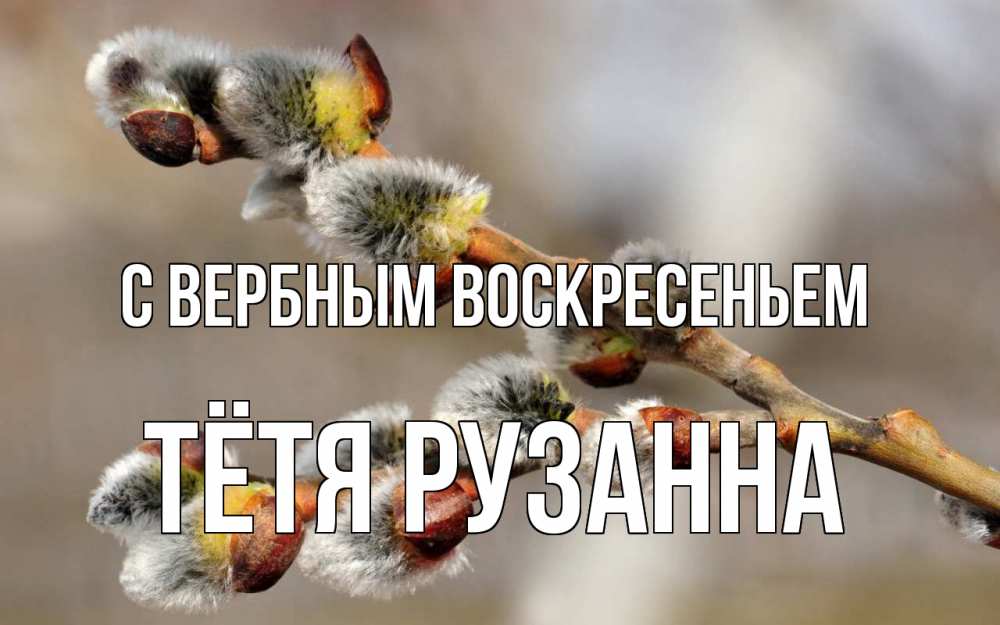 Открытка на каждый день с именем, Тётя-Рузанна С вербным воскресеньем Верба Прикольная открытка с пожеланием онлайн скачать бесплатно 