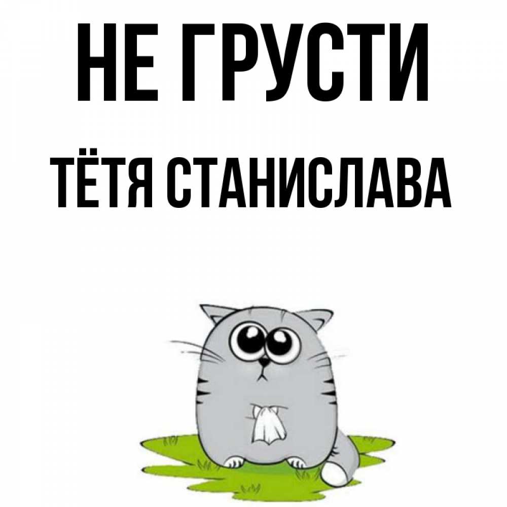 Открытка на каждый день с именем, Тётя-Станислава Не грусти грустный котяра Прикольная открытка с пожеланием онлайн скачать бесплатно 