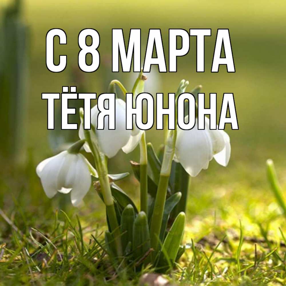 Открытка на каждый день с именем, Тётя-Юнона С 8 МАРТА ранние цветы 2 Прикольная открытка с пожеланием онлайн скачать бесплатно 
