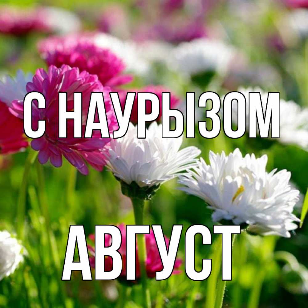 Открытка на каждый день с именем, Август С наурызом праздник весны наурыз красота Прикольная открытка с пожеланием онлайн скачать бесплатно 