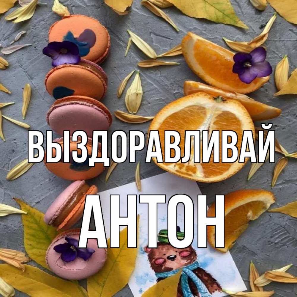Открытка на каждый день с именем, Антон Выздоравливай не болейте Прикольная открытка с пожеланием онлайн скачать бесплатно 
