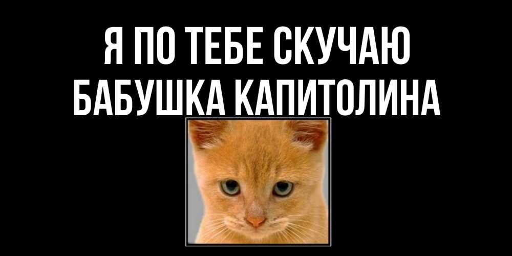 Открытка на каждый день с именем, Бабушка-Капитолина Я по тебе скучаю открытки рыжий котенок скучает по тебе Прикольная открытка с пожеланием онлайн скачать бесплатно 
