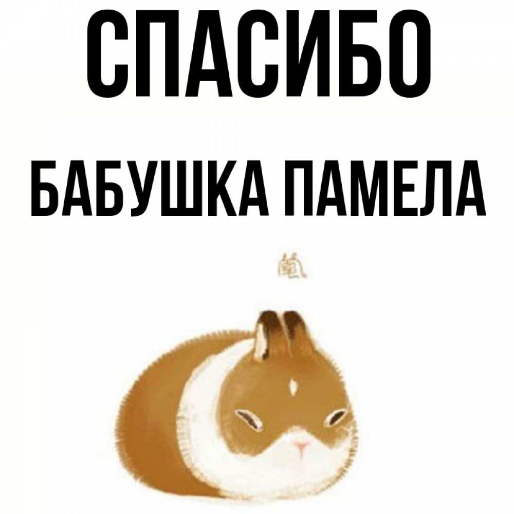 Открытка на каждый день с именем, Бабушка-Памела Спасибо коричнево белый домашний питомец Прикольная открытка с пожеланием онлайн скачать бесплатно 