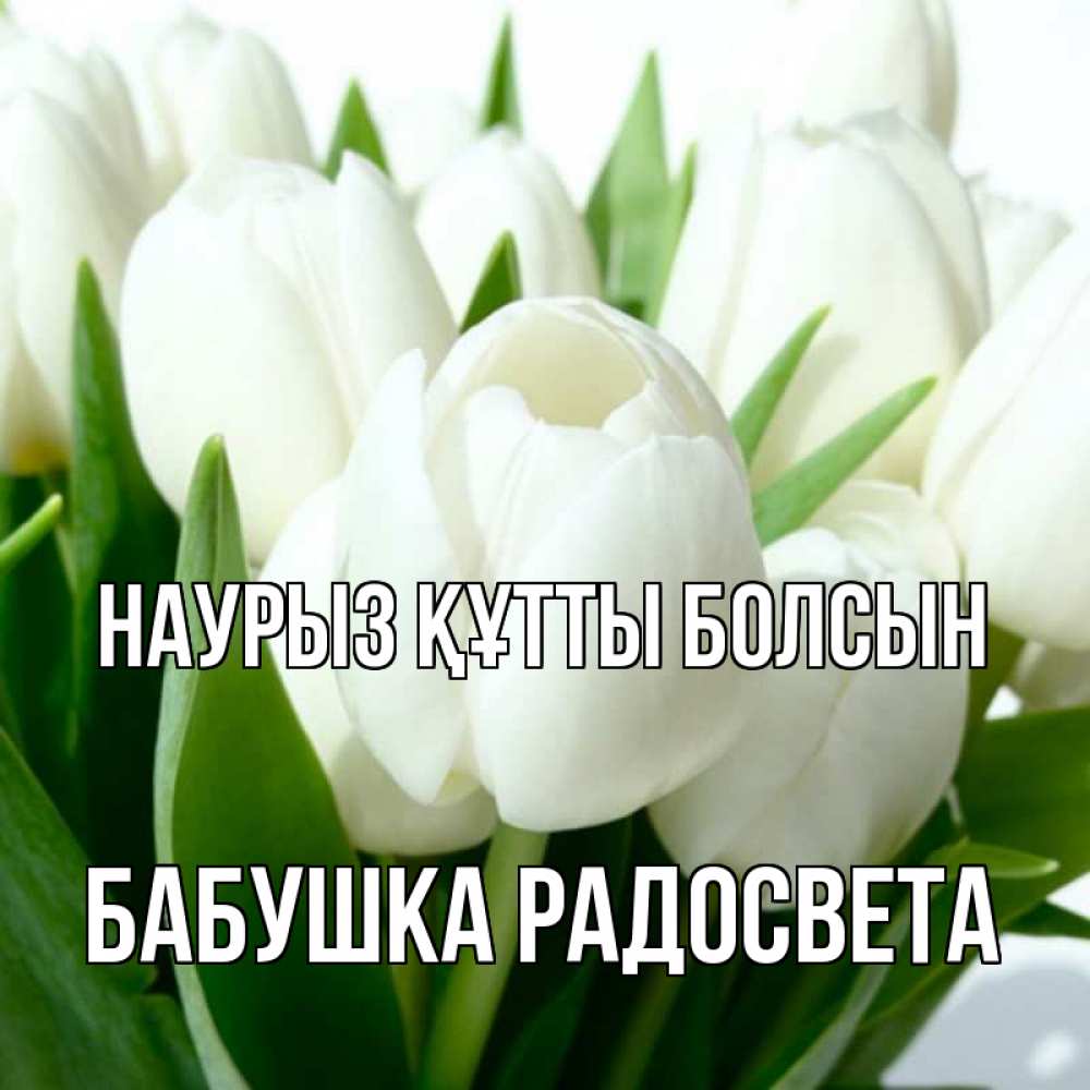 Открытка на каждый день с именем, Бабушка-Радосвета Наурыз құтты болсын цветы Прикольная открытка с пожеланием онлайн скачать бесплатно 