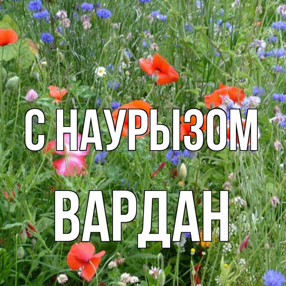 Открытка на каждый день с именем, Вардан С наурызом праздник весны наурыз супер открытка Прикольная открытка с пожеланием онлайн скачать бесплатно 