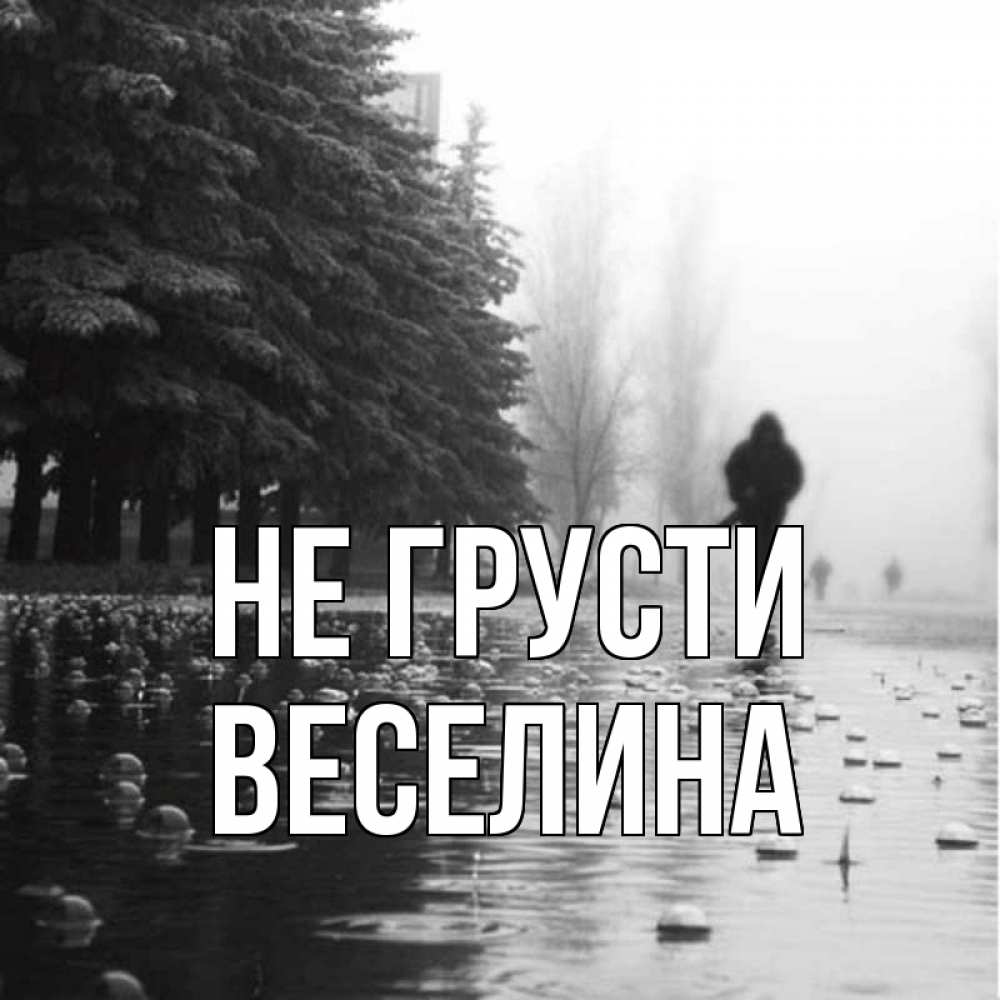 Открытка на каждый день с именем, Веселина Не грусти улица под дождем Прикольная открытка с пожеланием онлайн скачать бесплатно 