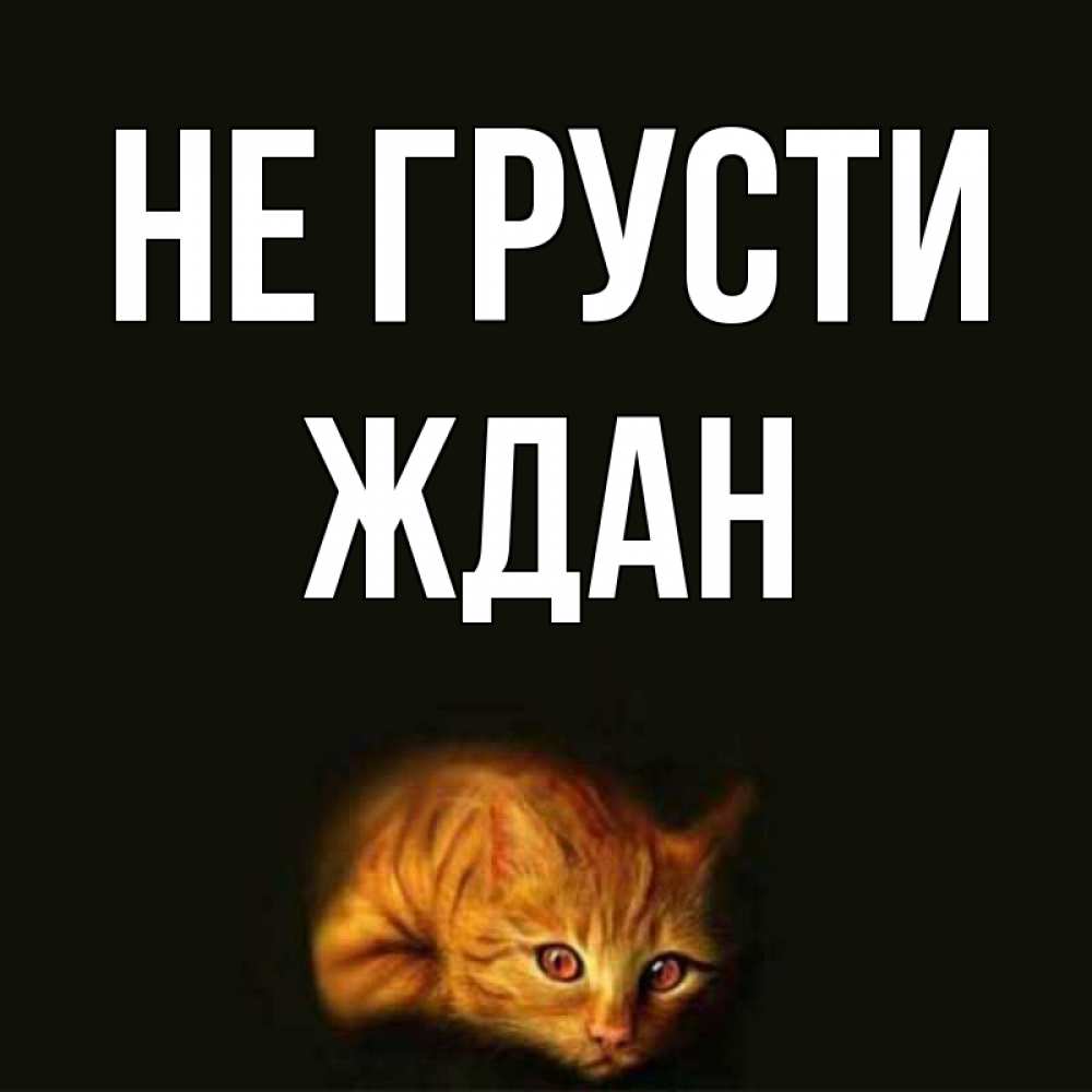 Открытка на каждый день с именем, Ждан Не грусти лежащий кот в темноте Прикольная открытка с пожеланием онлайн скачать бесплатно 