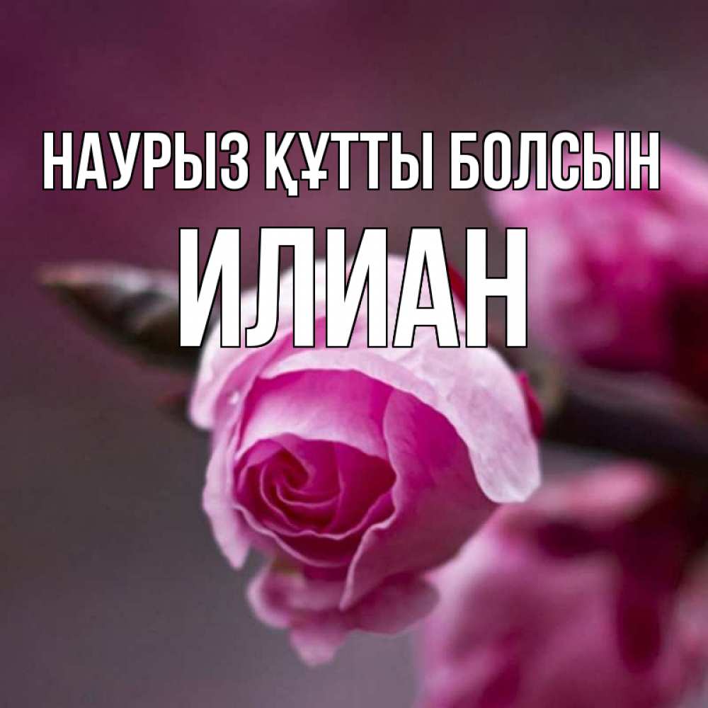 Открытка на каждый день с именем, Илиан Наурыз құтты болсын весна Прикольная открытка с пожеланием онлайн скачать бесплатно 