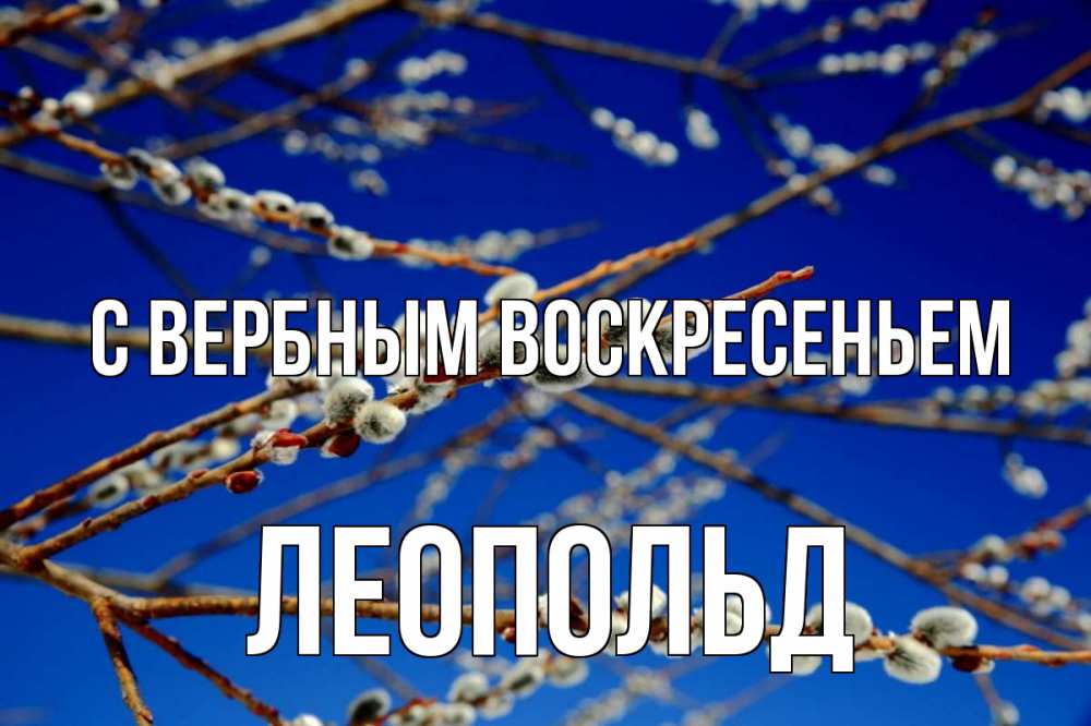 Открытка на каждый день с именем, Леопольд С вербным воскресеньем верба Прикольная открытка с пожеланием онлайн скачать бесплатно 