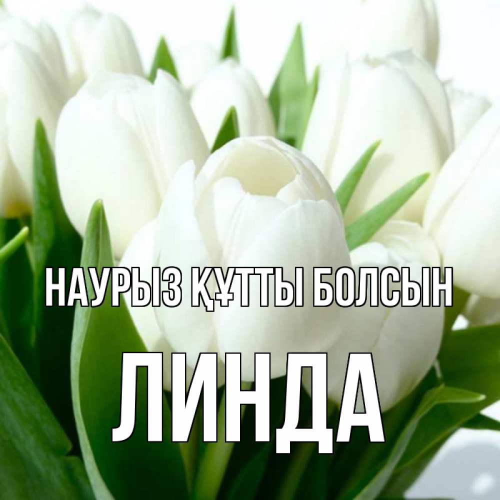 Открытка на каждый день с именем, Линда Наурыз құтты болсын цветы Прикольная открытка с пожеланием онлайн скачать бесплатно 