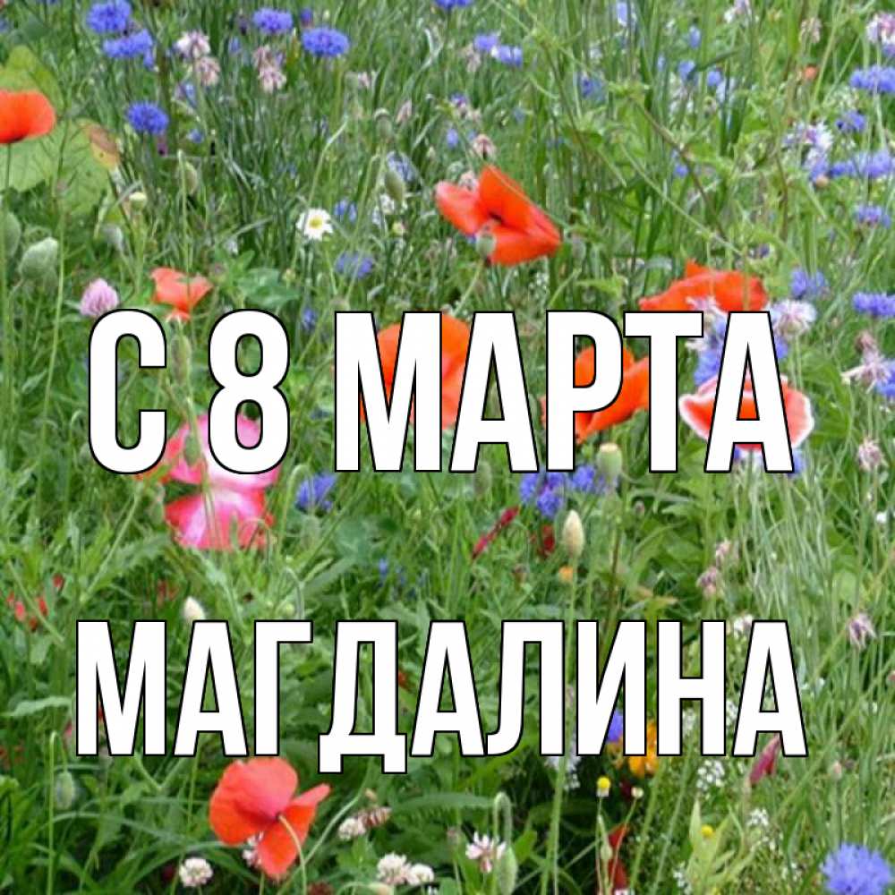 Открытка на каждый день с именем, Магдалина С 8 марта международный женский день 4 Прикольная открытка с пожеланием онлайн скачать бесплатно 