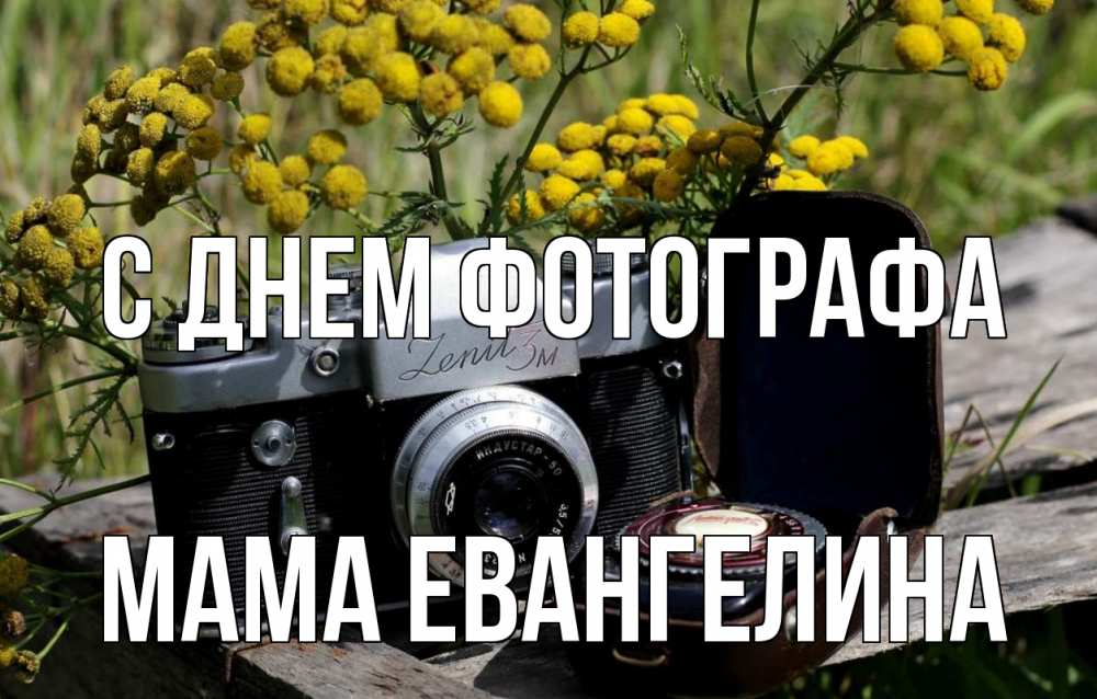 Открытка на каждый день с именем, Мама-Евангелина С днем фотографа с днем фотографа Прикольная открытка с пожеланием онлайн скачать бесплатно 