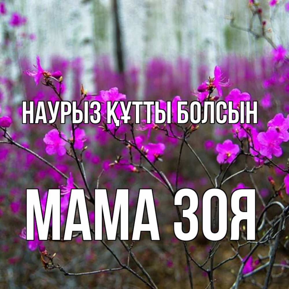 Открытка на каждый день с именем, Мама-Зоя Наурыз құтты болсын дикие цветы Прикольная открытка с пожеланием онлайн скачать бесплатно 