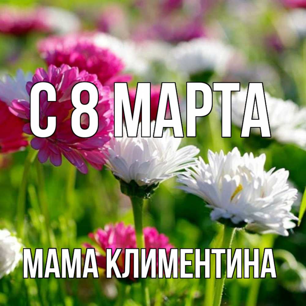 Открытка на каждый день с именем, Мама-Климентина С 8 МАРТА международный женский день 1 Прикольная открытка с пожеланием онлайн скачать бесплатно 