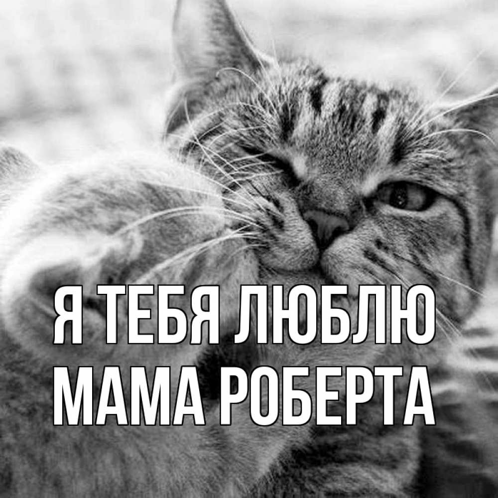 Открытка на каждый день с именем, Мама-Роберта Я тебя люблю коты Прикольная открытка с пожеланием онлайн скачать бесплатно 