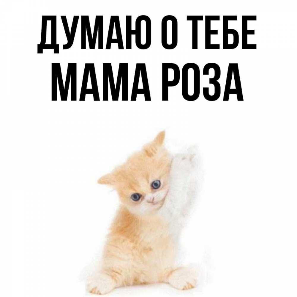 Открытка на каждый день с именем, Мама-Роза Думаю о тебе зверушки и милота Прикольная открытка с пожеланием онлайн скачать бесплатно 