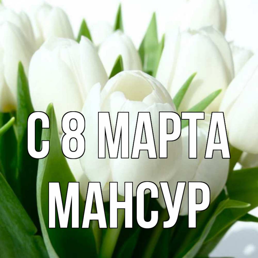 Открытка на каждый день с именем, Мансур С 8 МАРТА цветы Прикольная открытка с пожеланием онлайн скачать бесплатно 