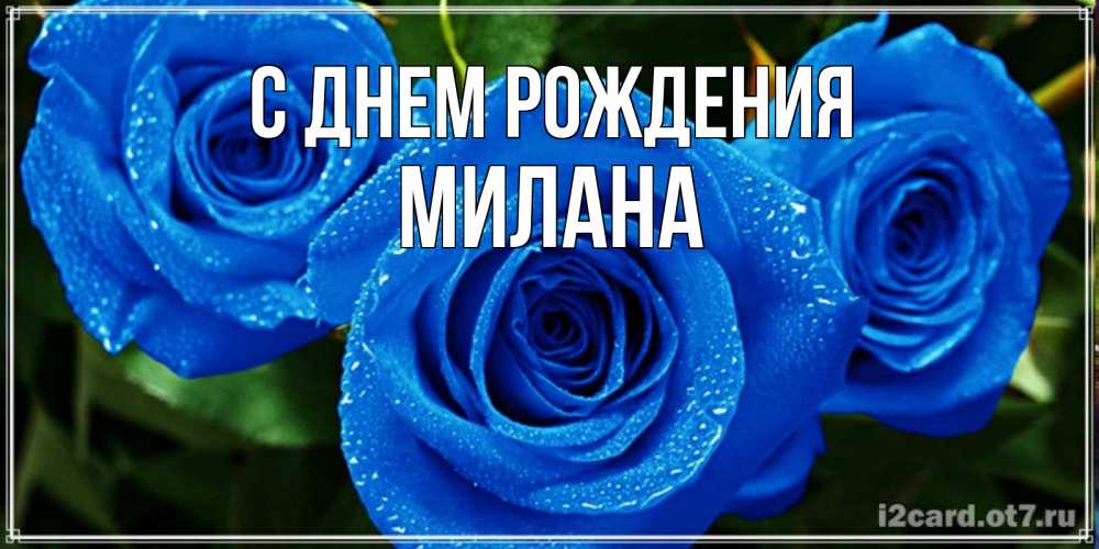 Открытка на каждый день с именем, Милана С днем рождения розы с синим цветом Прикольная открытка с пожеланием онлайн скачать бесплатно 