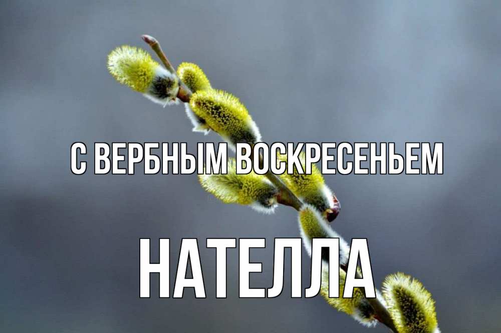 Открытка на каждый день с именем, Нателла С вербным воскресеньем верба Прикольная открытка с пожеланием онлайн скачать бесплатно 